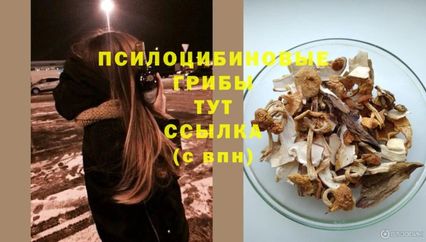 MDMA Ладушкин